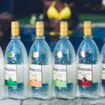 Seagram’s Gin Review